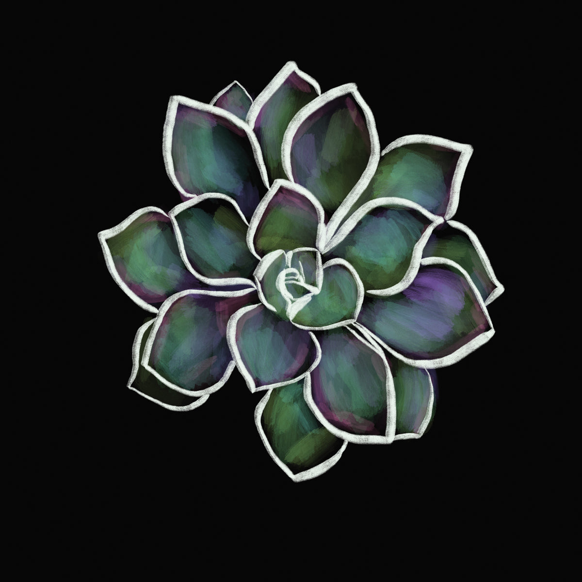 Succ II