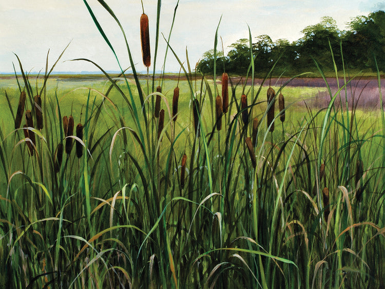 Cattails