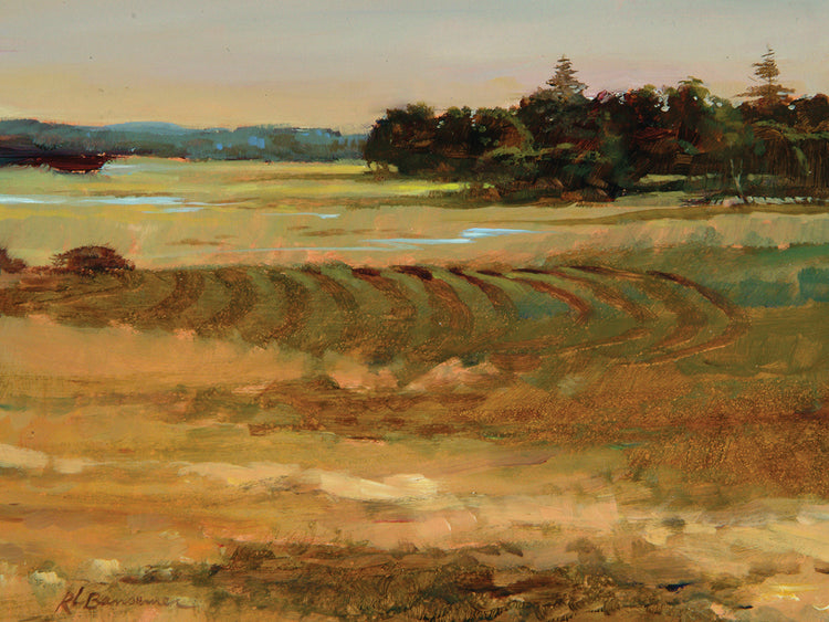 Ipswich Marsh in Yellows