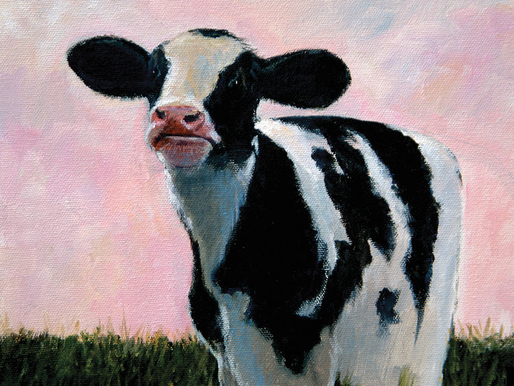 Looking At You - Cow