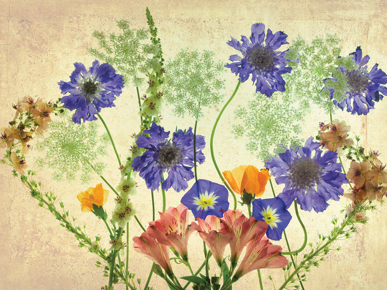 Botanical IX