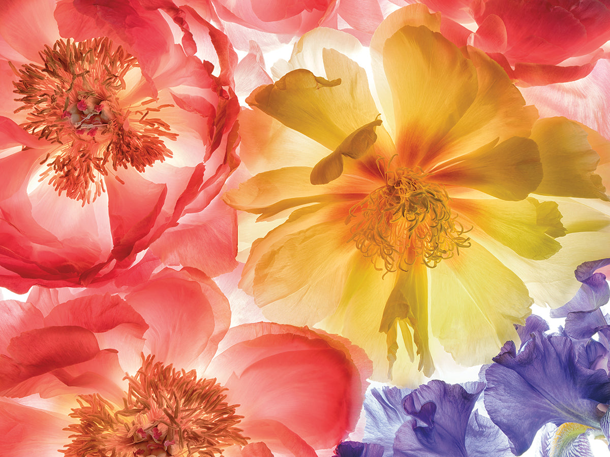 Botanical VIII