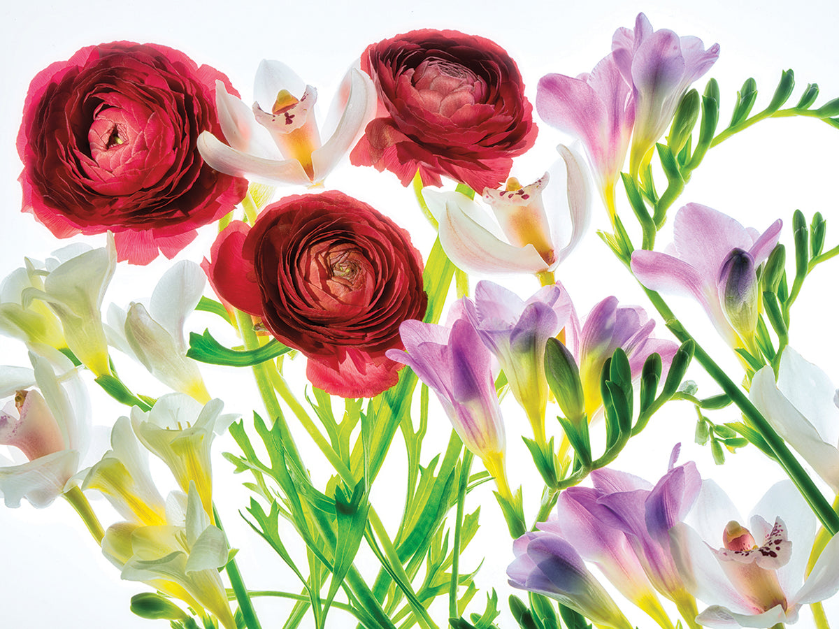 Botanical IV