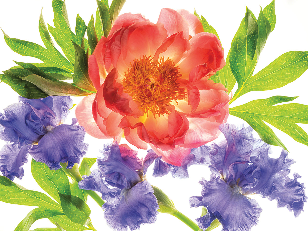 Botanical III