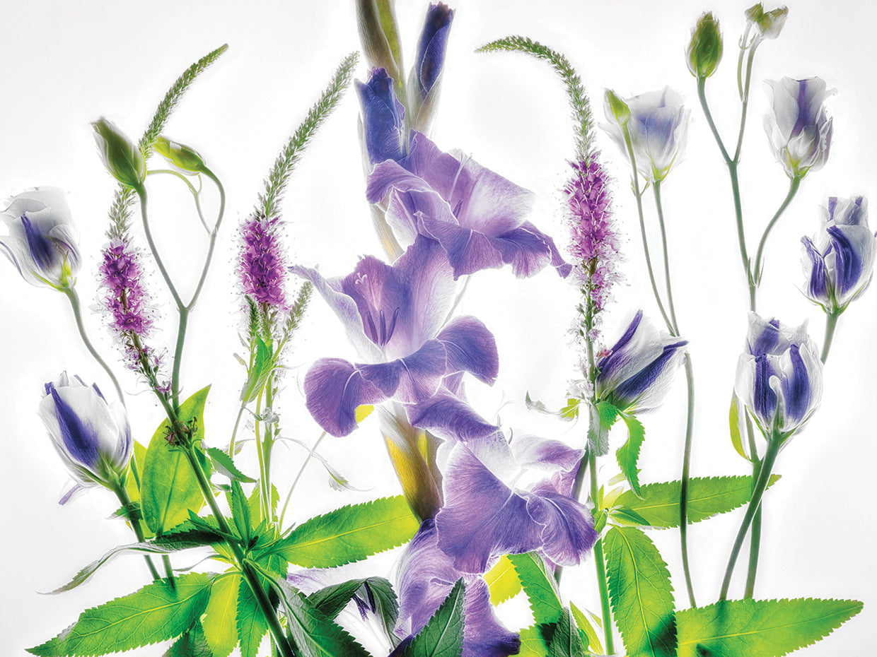 Botanical II