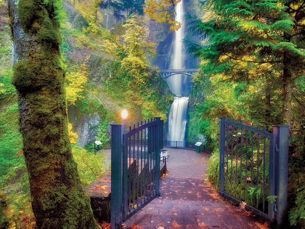 Water Fall
