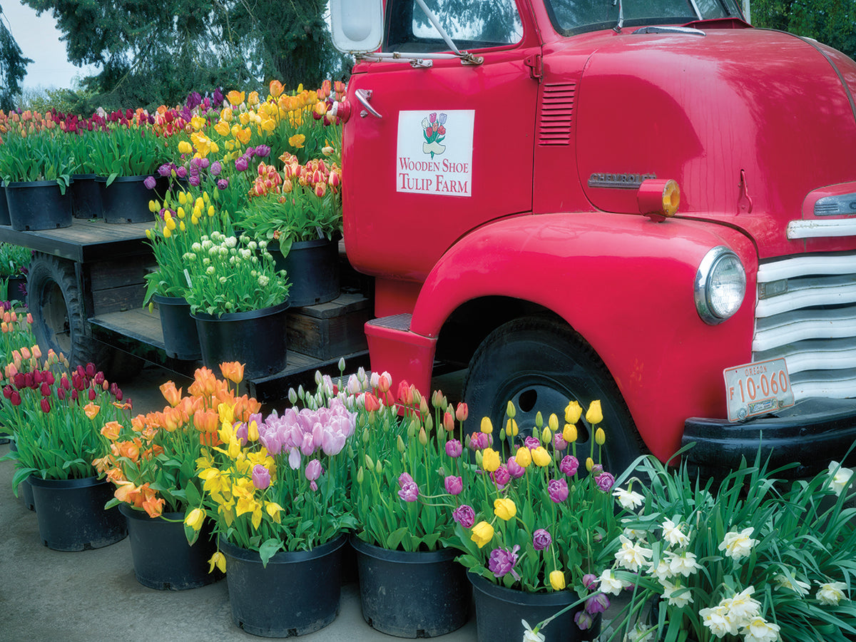 Floral Truck
