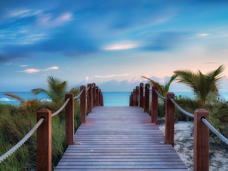 Paradise Path