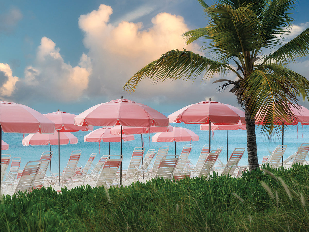 Pink Umbrella