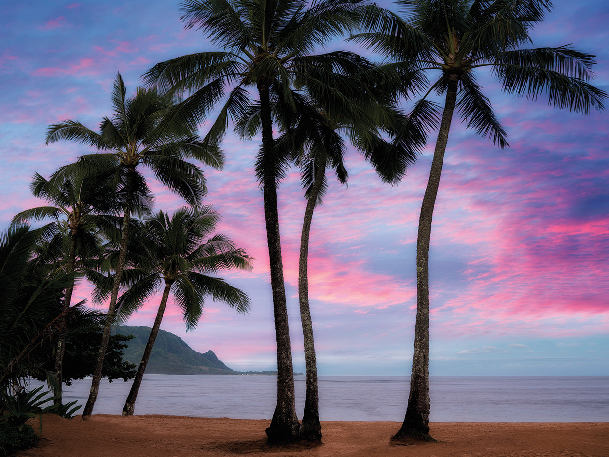 Pink Clouds