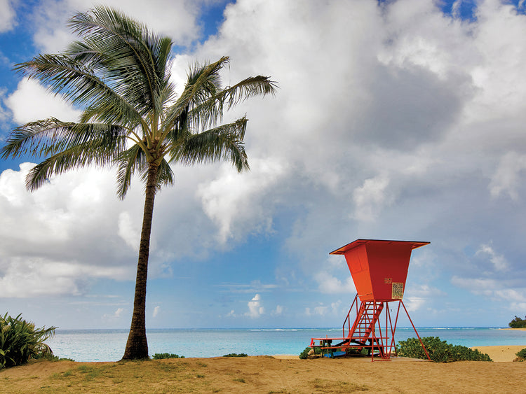 Lifeguard Tower