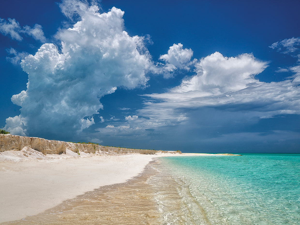 Dream Beach