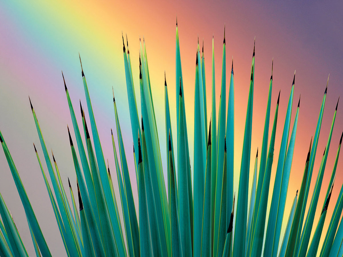 Prism Plant