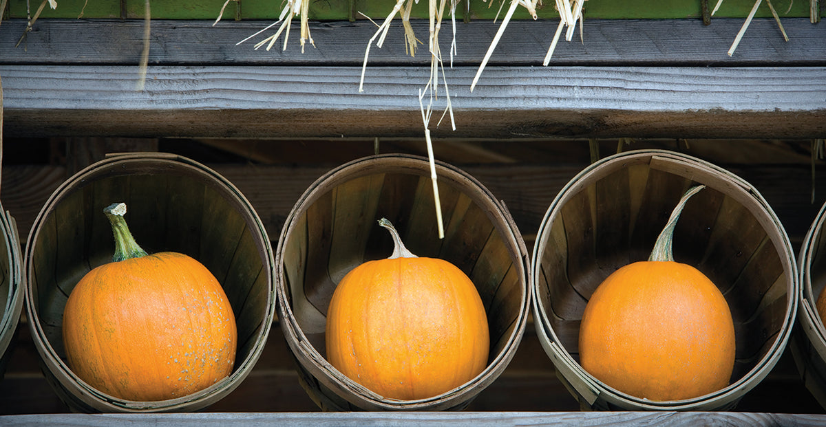 Pumpkins