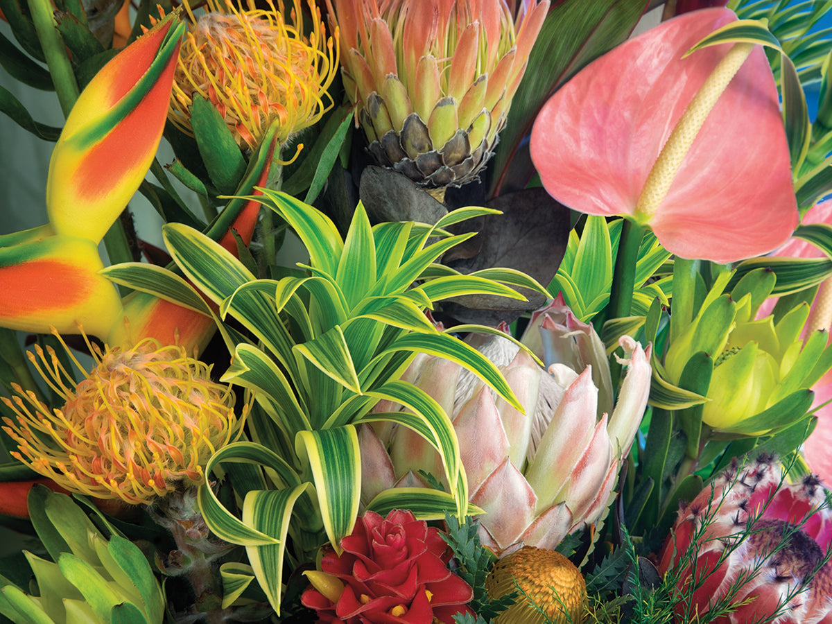 Hawaiian Tropics II