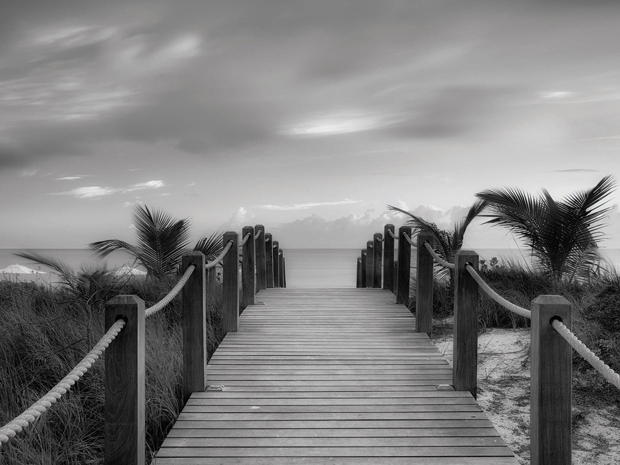 Paradise Path