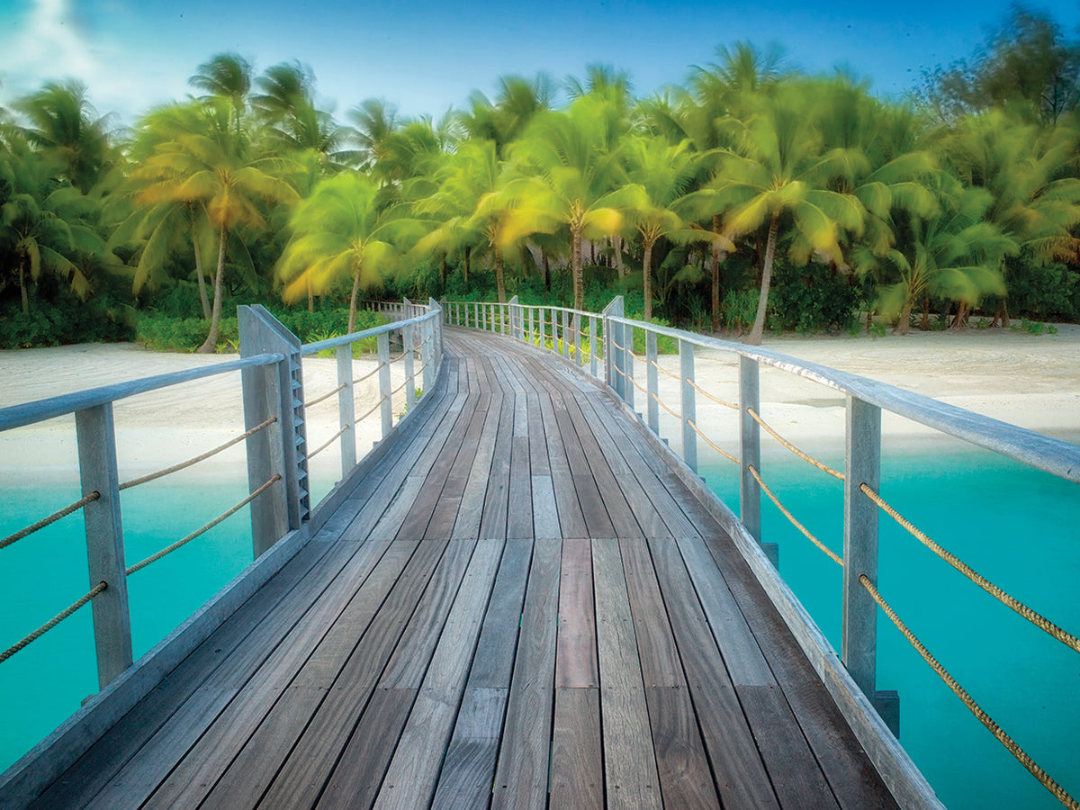 Path to Calm
