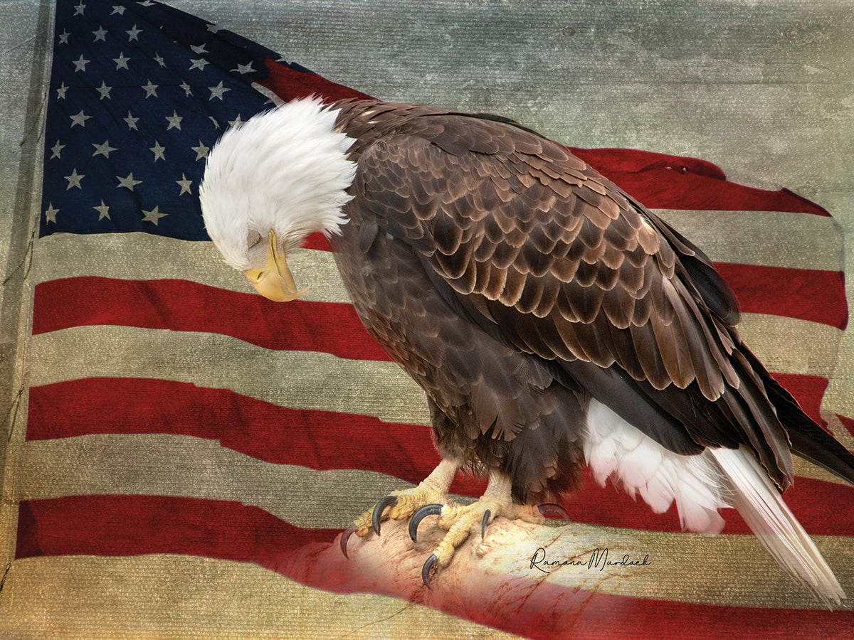 Pray for America