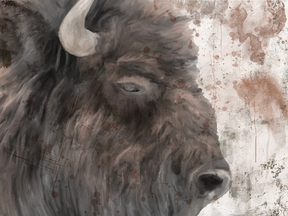 Yellowstone Buffalo