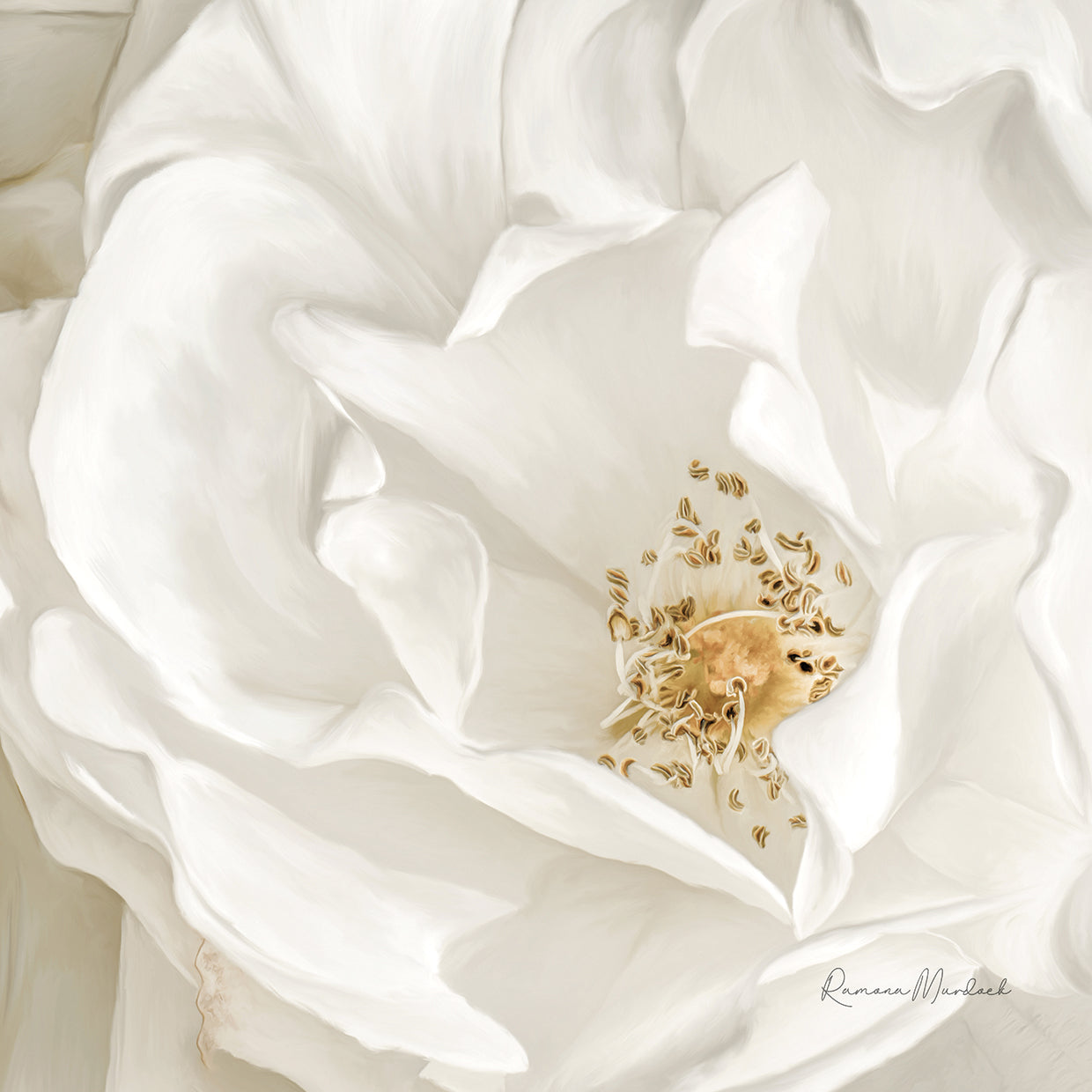 Neutral Rose No. 3