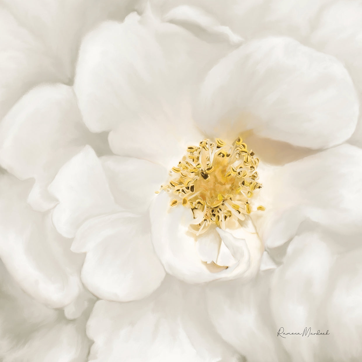 Neutral Rose No. 4