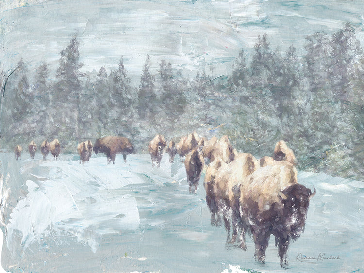 Buffalo Herd