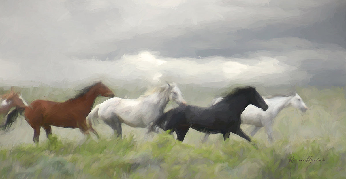 Mustang Herd I