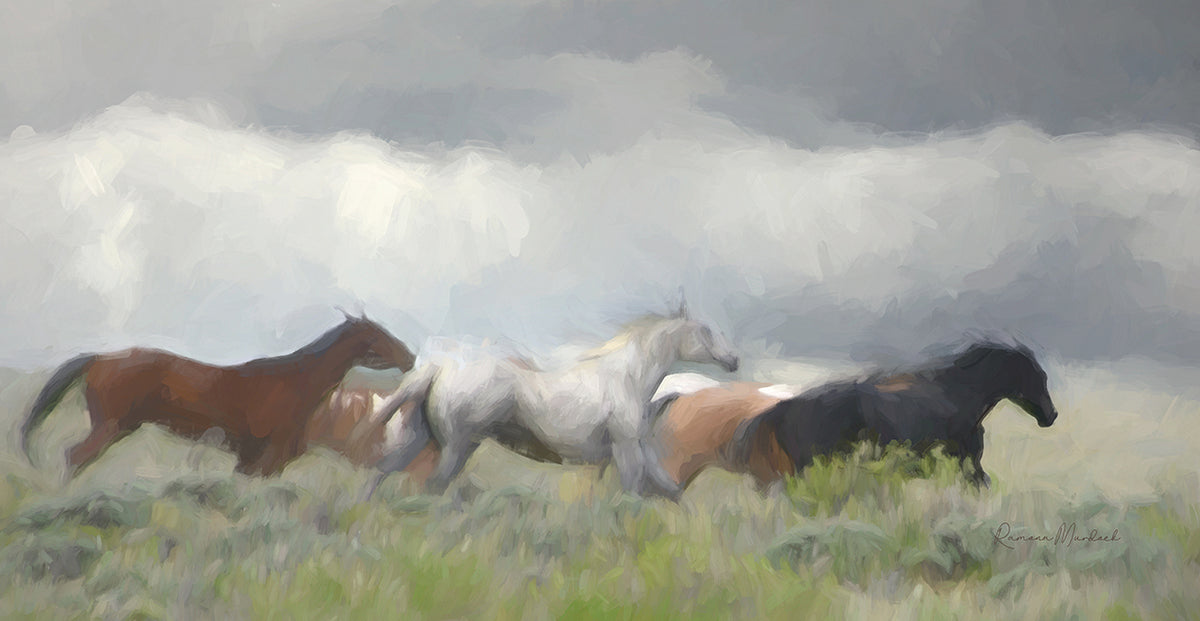 Mustang Herd II