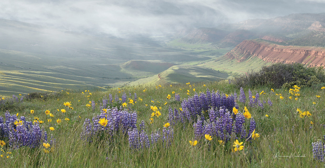 Misty Valley II