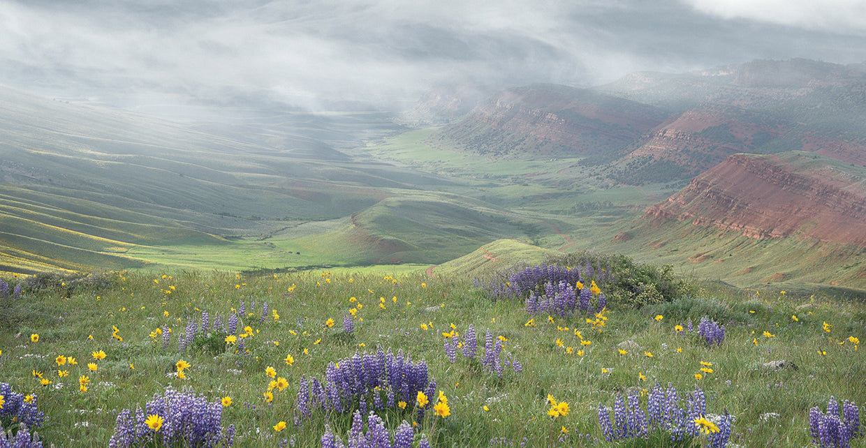 Misty Valley III