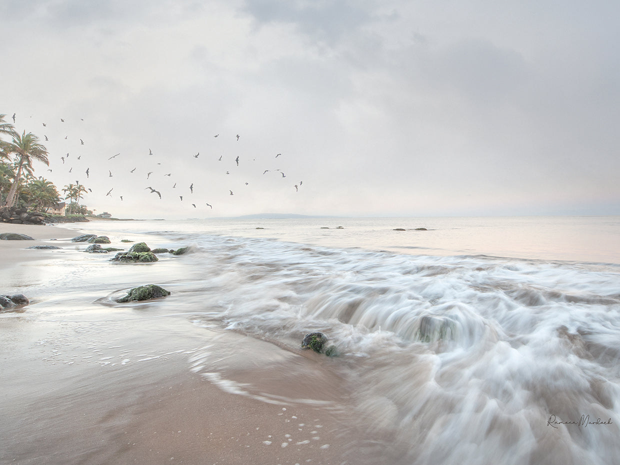 Early Morning Beach III