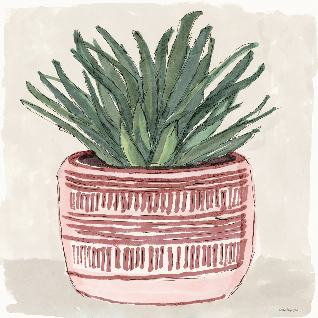 Agave 1