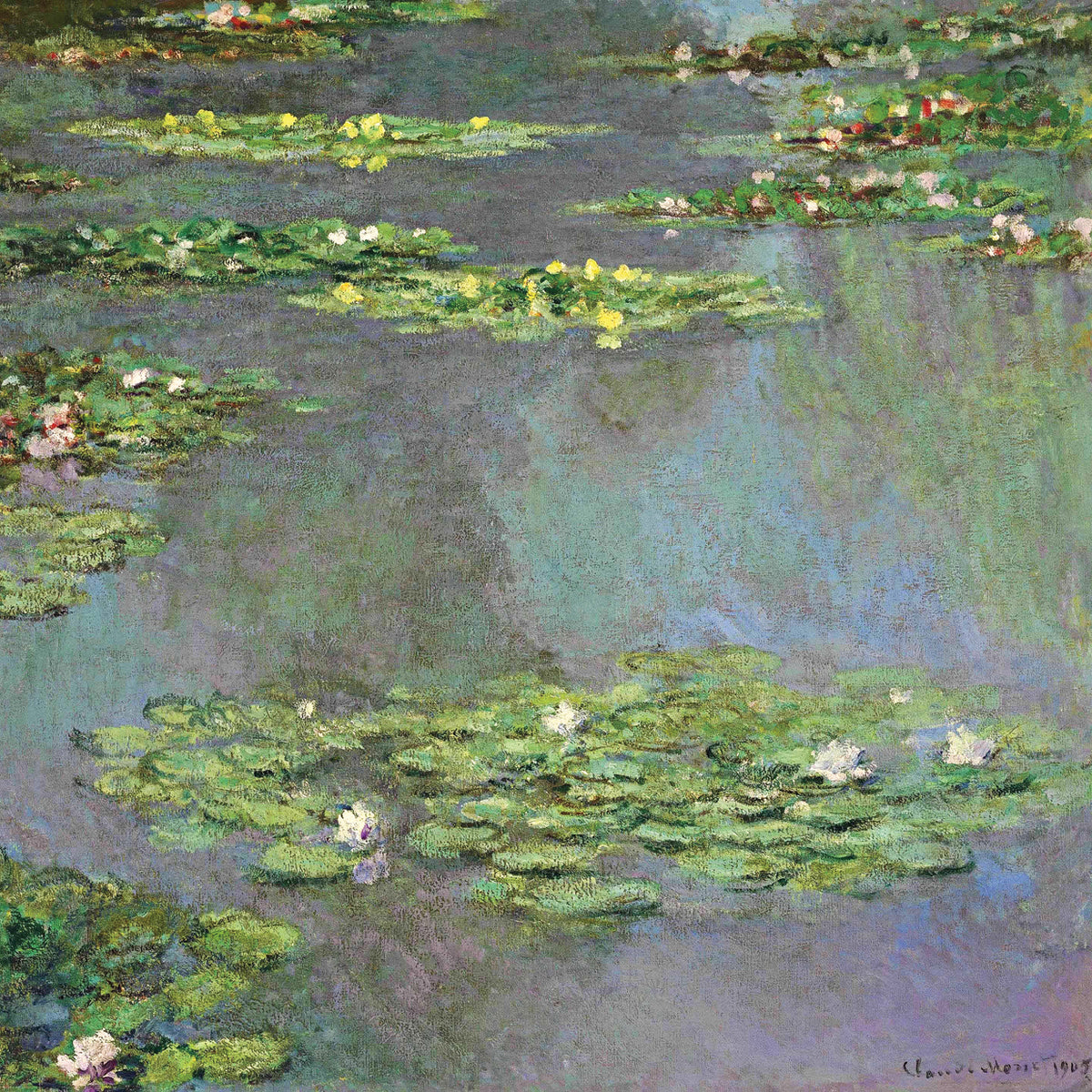 Nymphe as, 1905