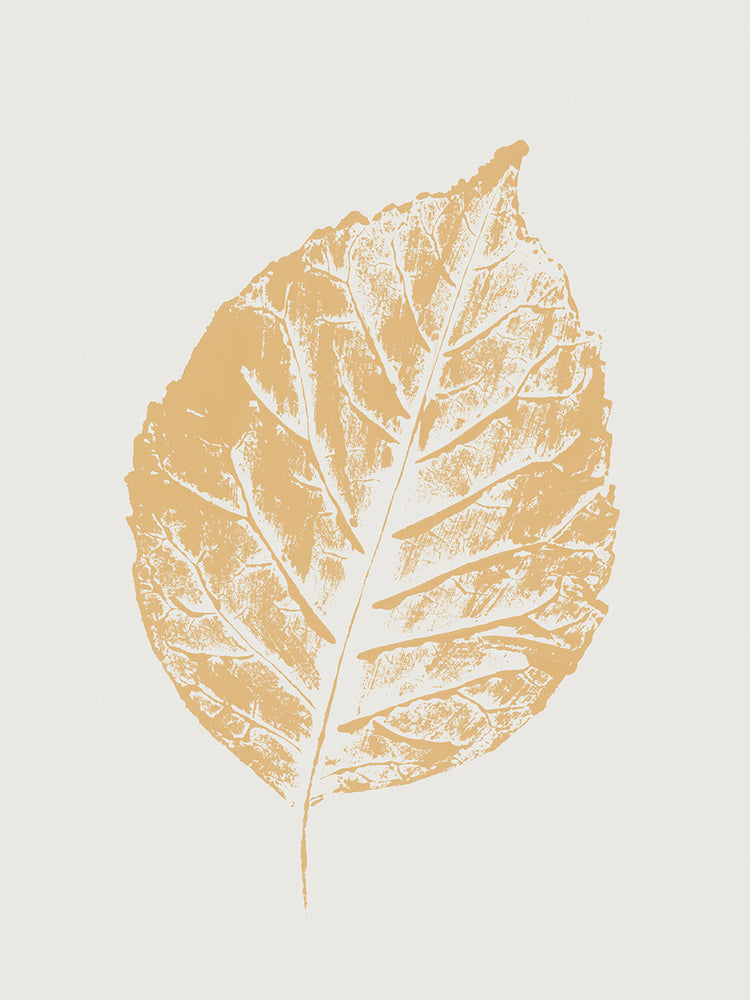 Colour Leaf Print I