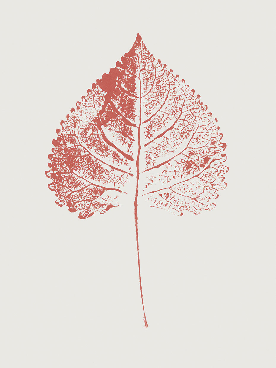 Colour Leaf Print II