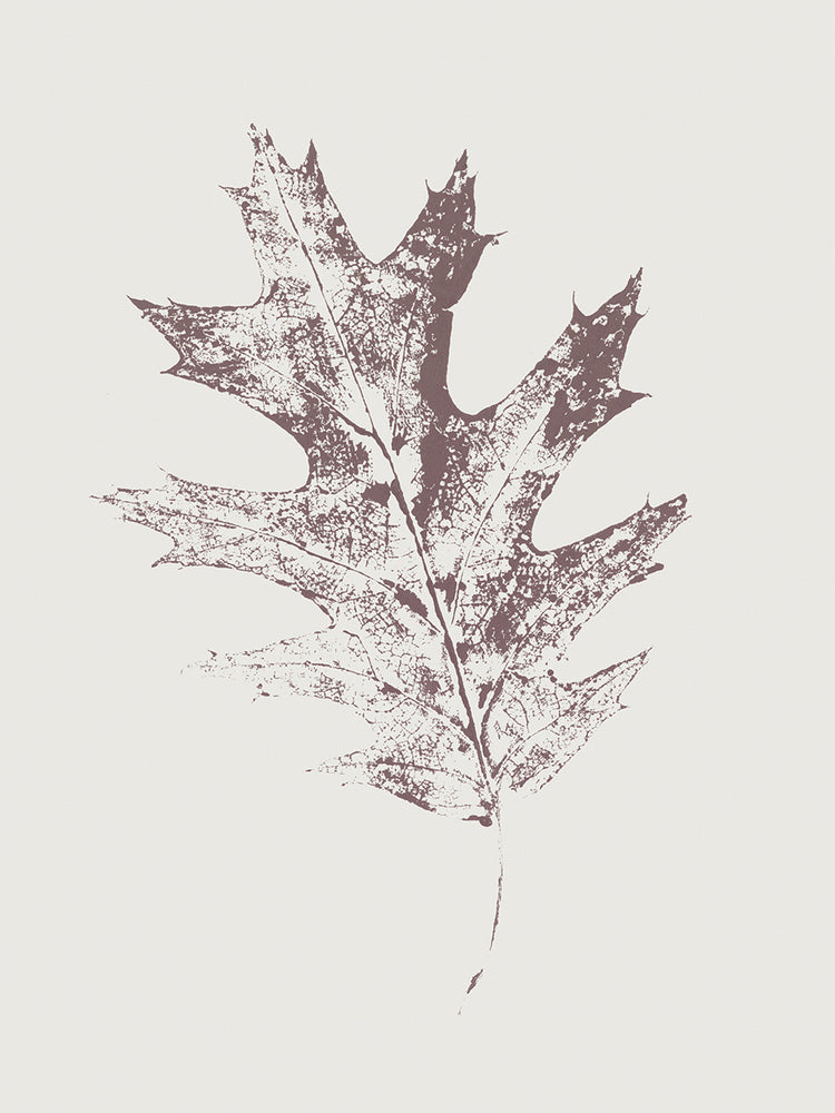 Colour Leaf Print III