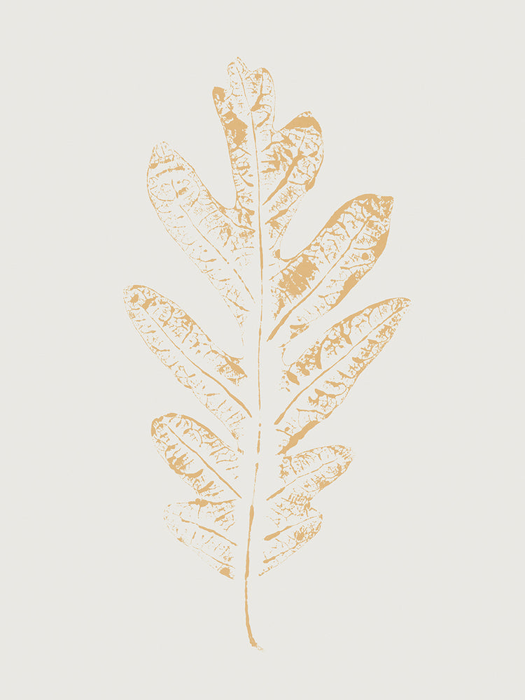 Colour Leaf Print IV