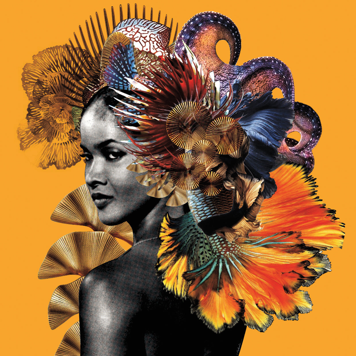 I See You Marpessa Dawn