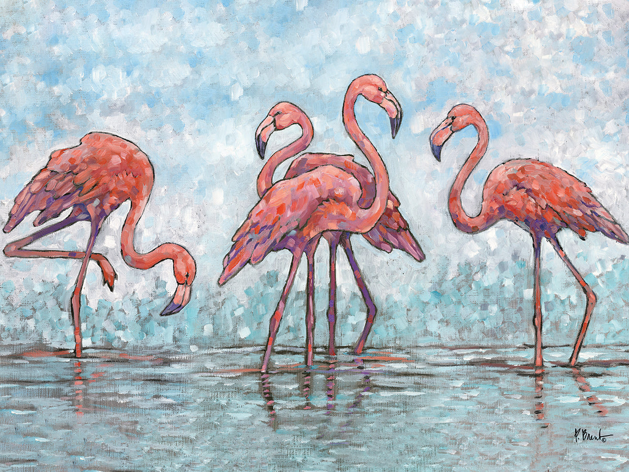 Impressions of Flamingos Horizontal