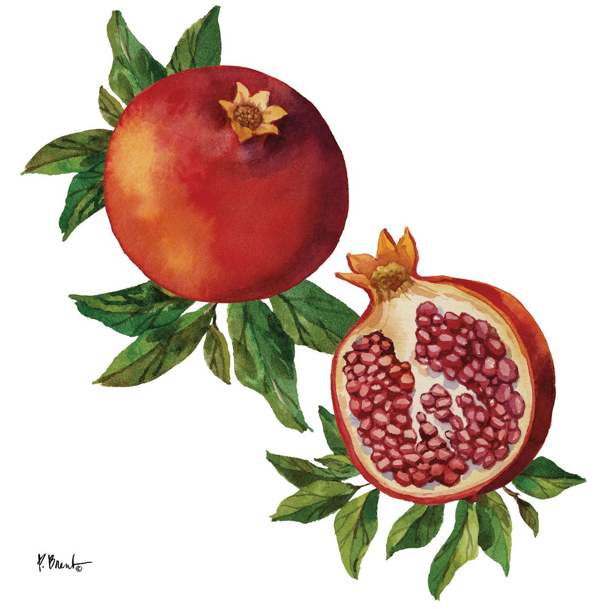Pomegranate Bunch I