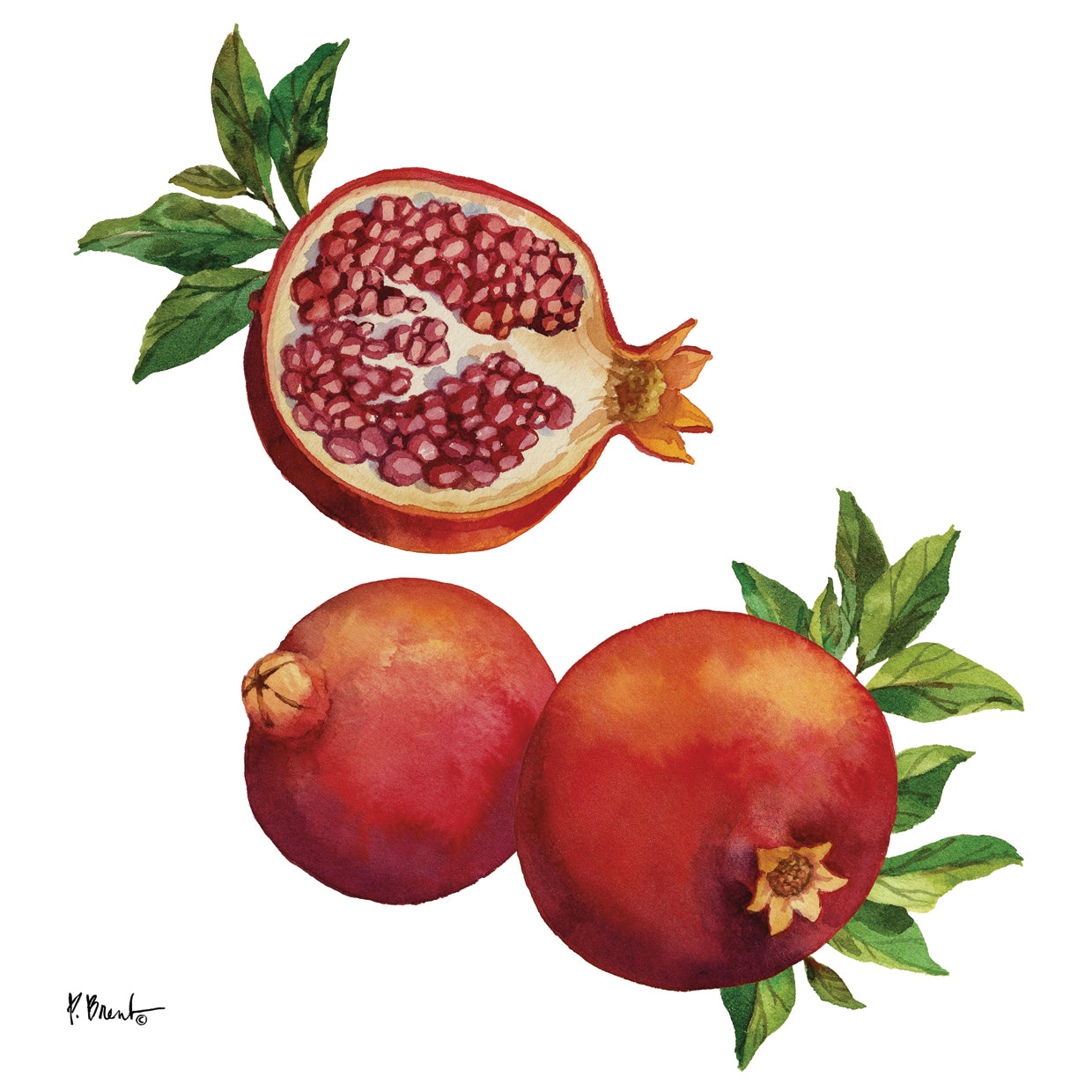 Pomegranate Bunch III