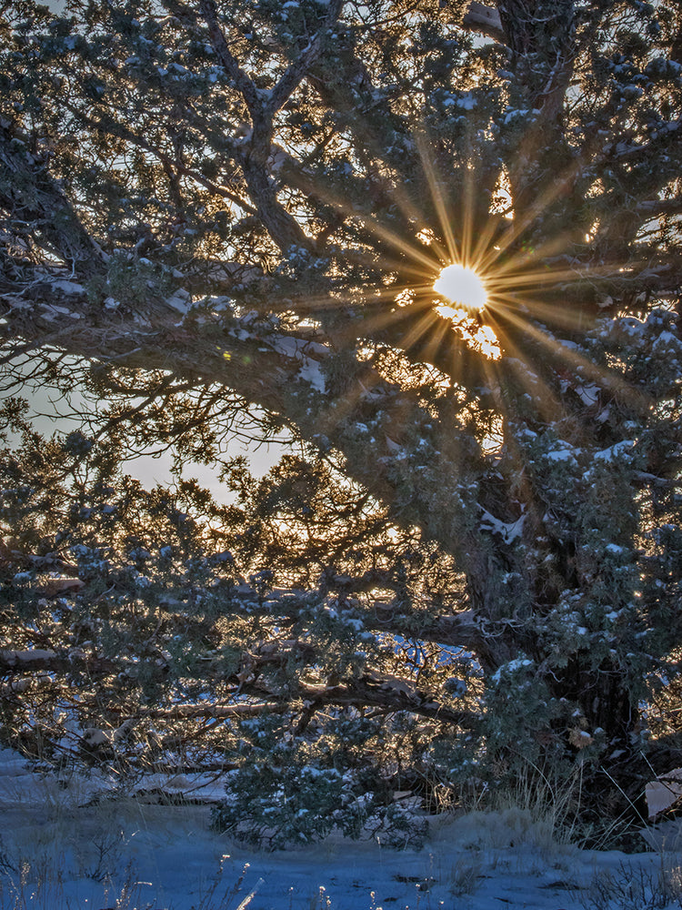 New Years Steens Mountain Sunrise