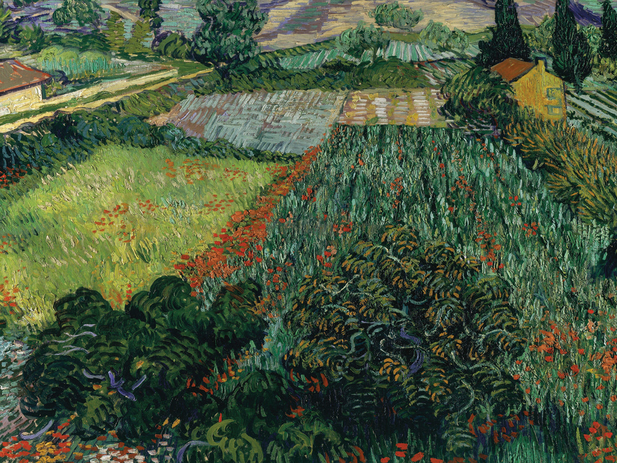 Field with Poppies (1889)