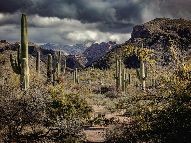 Santa Catalina Mountains 1