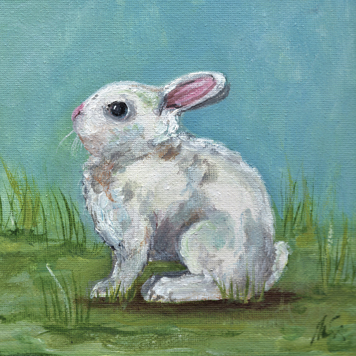 White Bunny