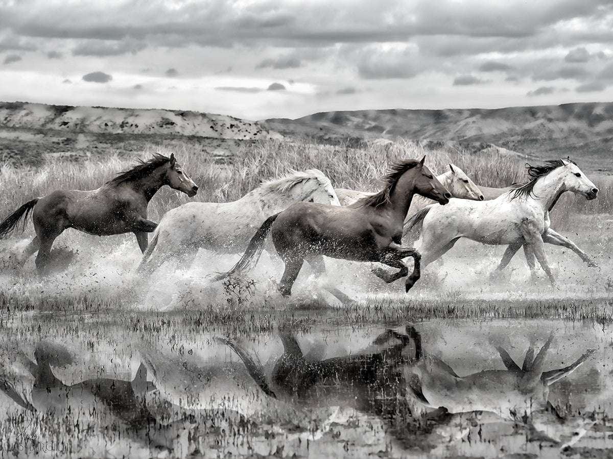 On The Run
