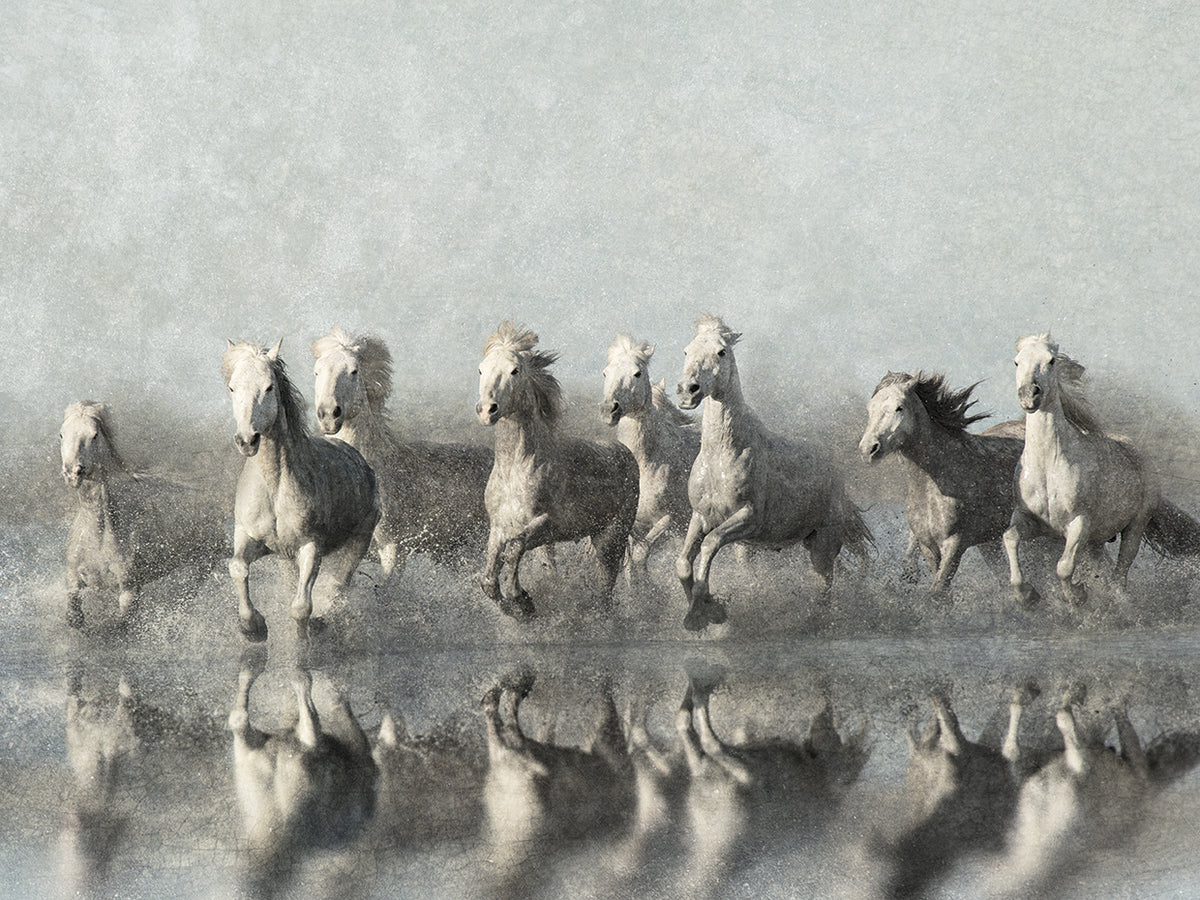 Running Free