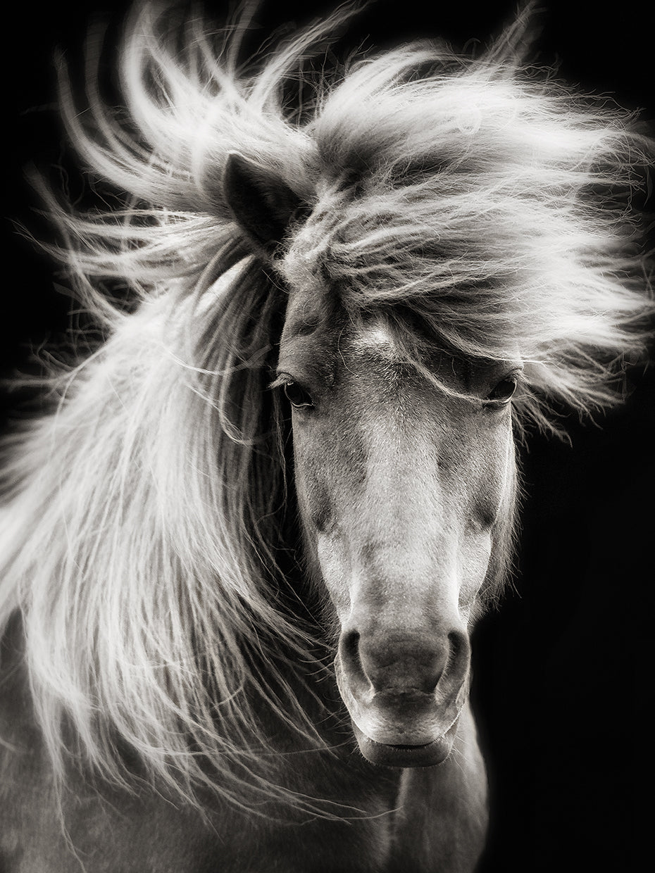 Breeze