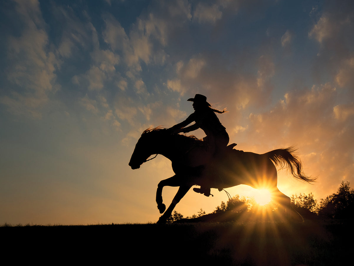 Lone Rider Wall Art by PBurchettPhoto | Fine Art Canvas