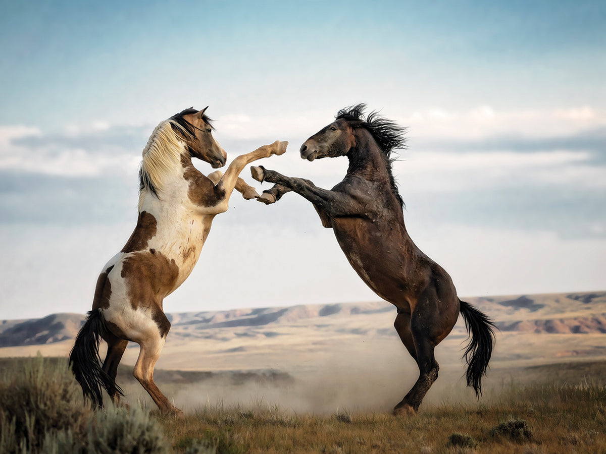 Disagreement